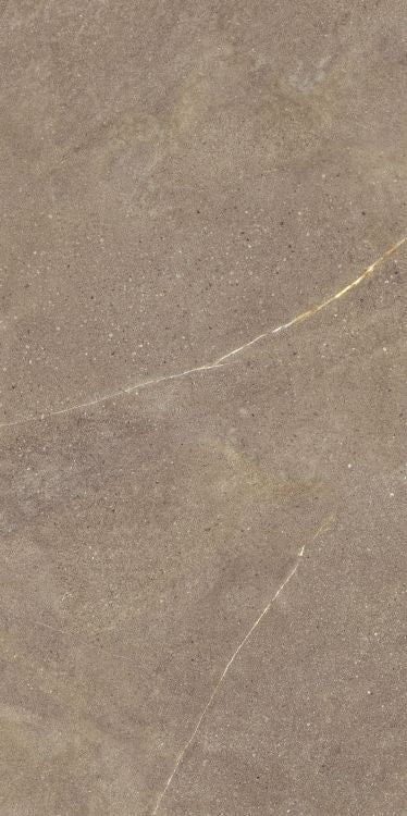 Madison Noce 24 x 48