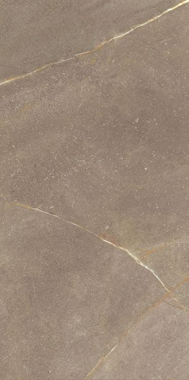 Madison Noce 24 x 48