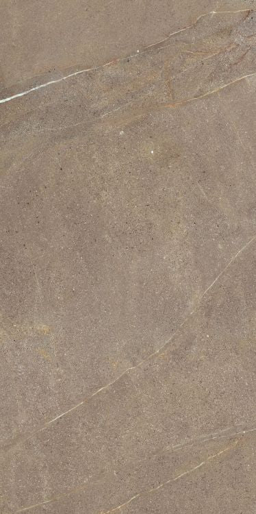 Madison Noce 24 x 48 - Hexagon Interiors