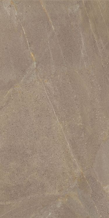 Madison Noce 24 x 48