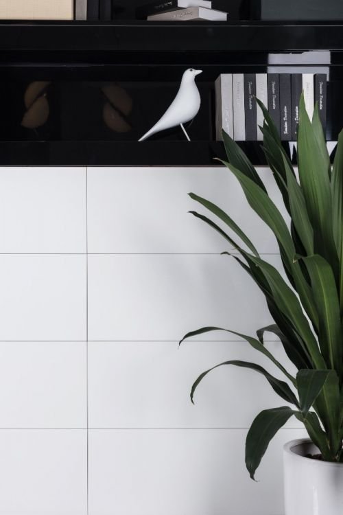 Malaysia EX White Matte 24 x 48 - Hexagon Interiors