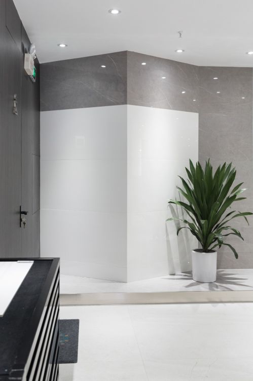 Malaysia EX White Polished 18 x 36