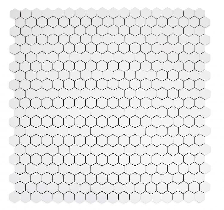 Malaysia Roy White Matte 2 x 2 Hexagon 12 x 12