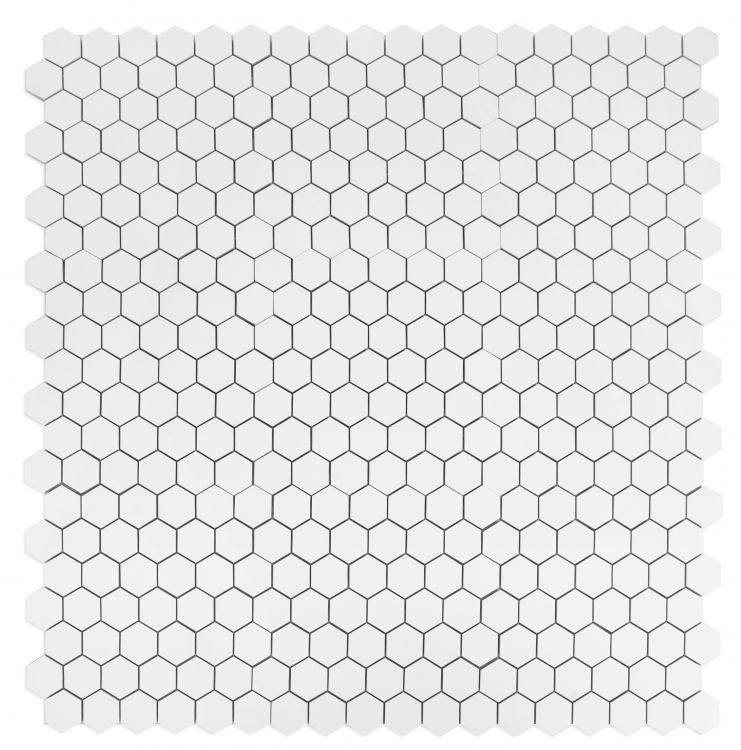 Malaysia Roy White Polished Hexagon 2 x 2 12 x 12