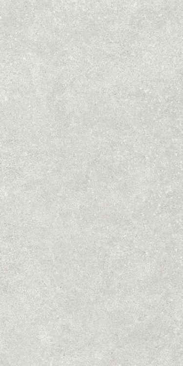 NG Infinity White Matte 12 x 24