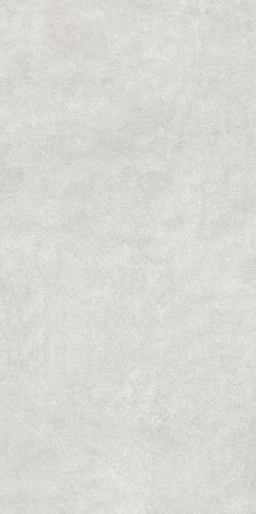 NG Infinity White Matte 24 x 48