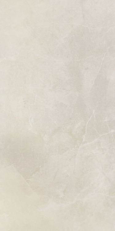 NG Pulpis Prime Light Grey Matte 24 x 48