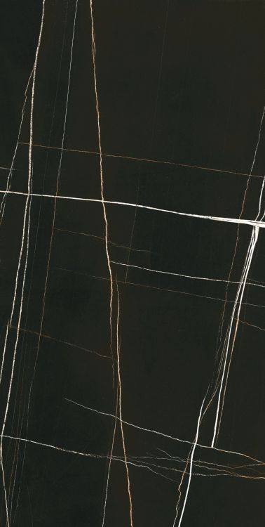 Noir Black Polished 24 x 48