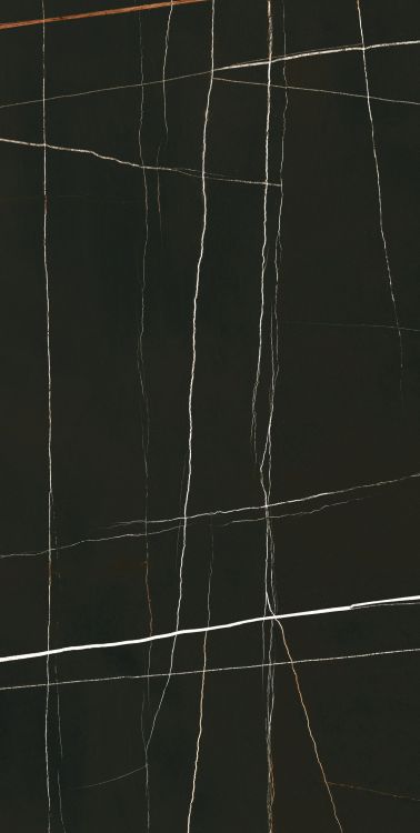 Noir Black Polished 24 x 48