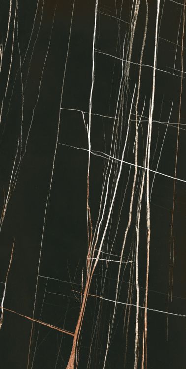 Noir Black Polished 24 x 48