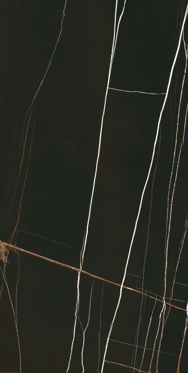 Noir Black Polished 24 x 48