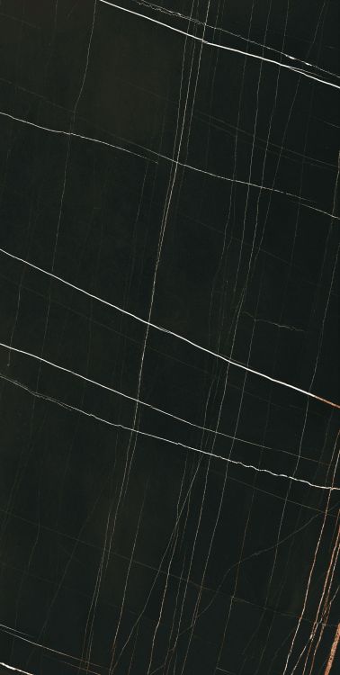 Noir Black Polished 24 x 48