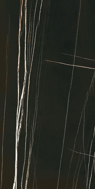 Noir Black Polished 24 x 48