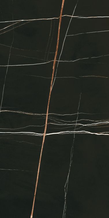 Noir Black Polished 24 x 48