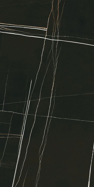 Noir Black Polished 24 x 48