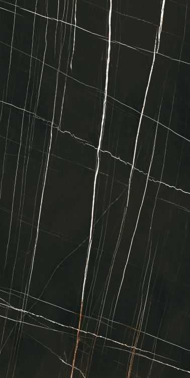 Noir Black Polished 24 x 48