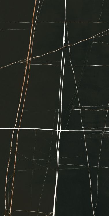 Noir Black Polished 24 x 48