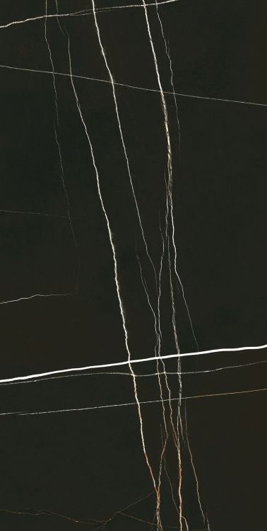 Noir Black Polished 24 x 48