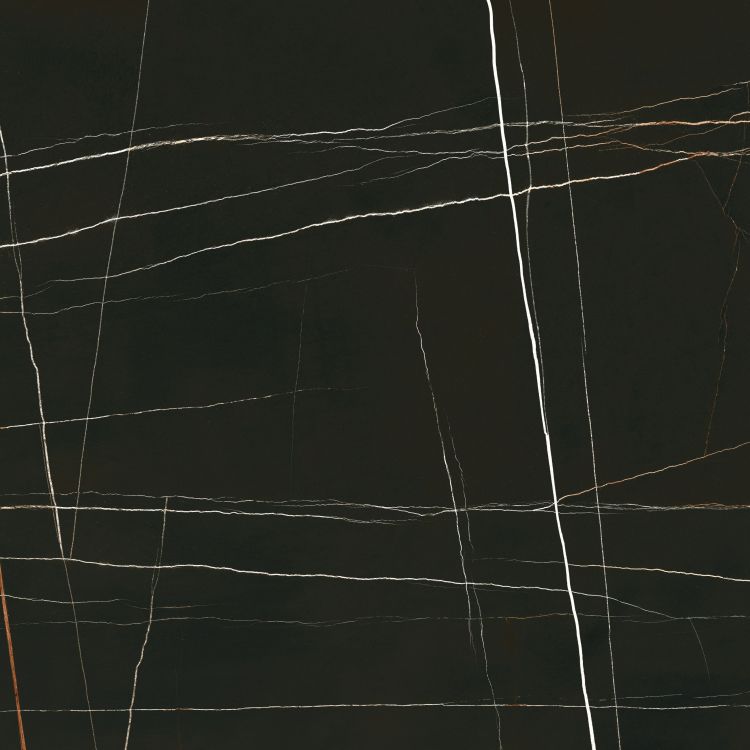 Noir Black Polished 48 x 48