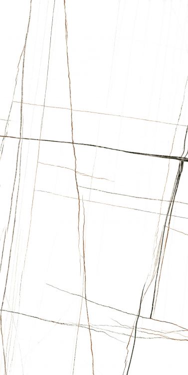 Noir White Polished 24 x 48