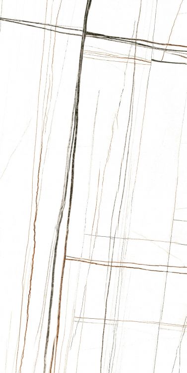 Noir White Polished 24 x 48