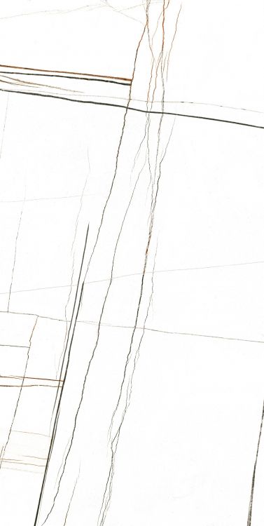 Noir White Polished 24 x 48