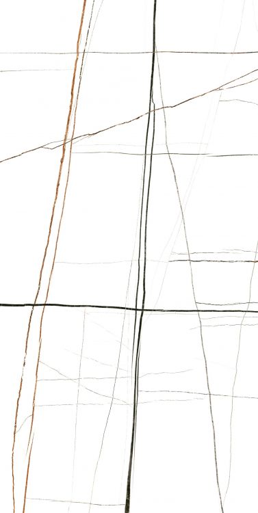 Noir White Polished 24 x 48