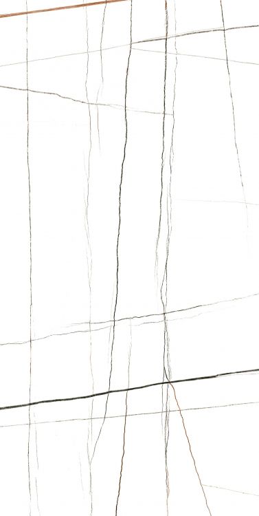 Noir White Polished 24 x 48