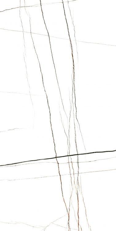 Noir White Polished 24 x 48