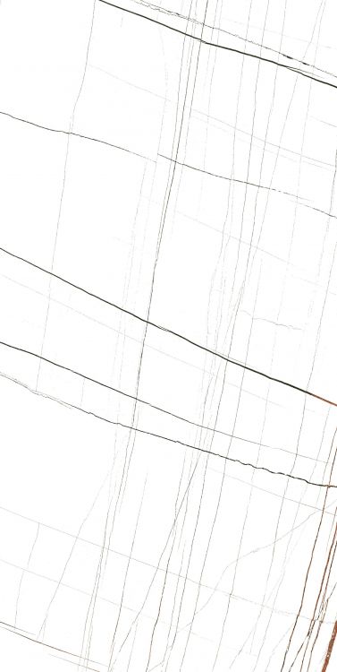 Noir White Polished 24 x 48