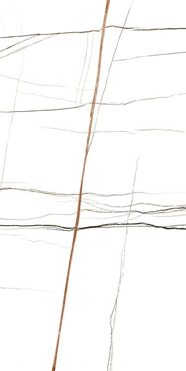 Noir White Polished 24 x 48