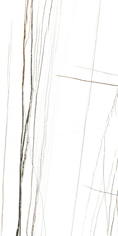 Noir White Polished 24 x 48