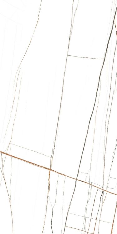 Noir White Polished 24 x 48