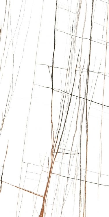 Noir White Polished 24 x 48 - Hexagon Interiors