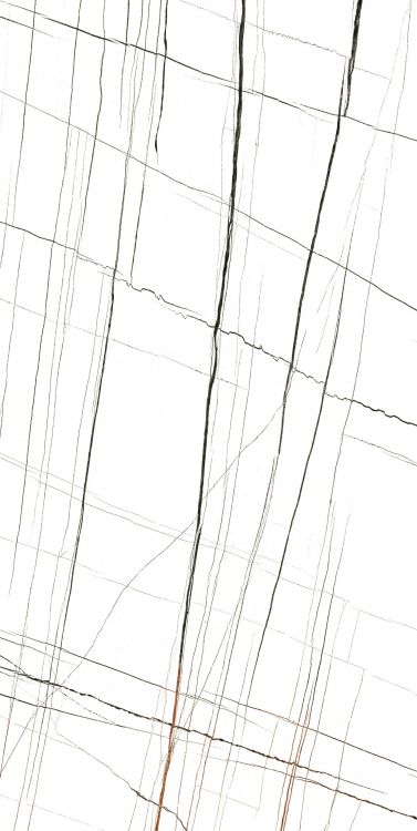 Noir White Polished 24 x 48