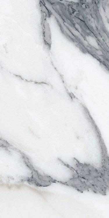 Origines Argent Glossy 12 x 24