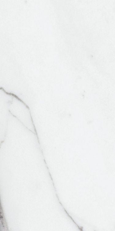 Origines Argent Glossy 12 x 24