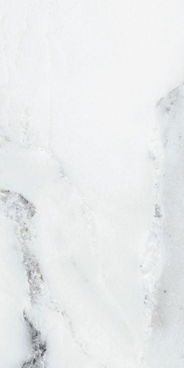 Origines Argent Glossy 12 x 24