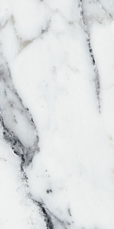 Origines Argent Glossy 12 x 24