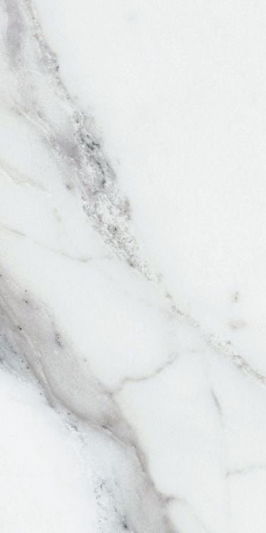 Origines Argent Glossy 12 x 24