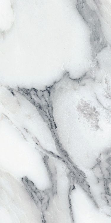 Origines Argent Glossy 12 x 24