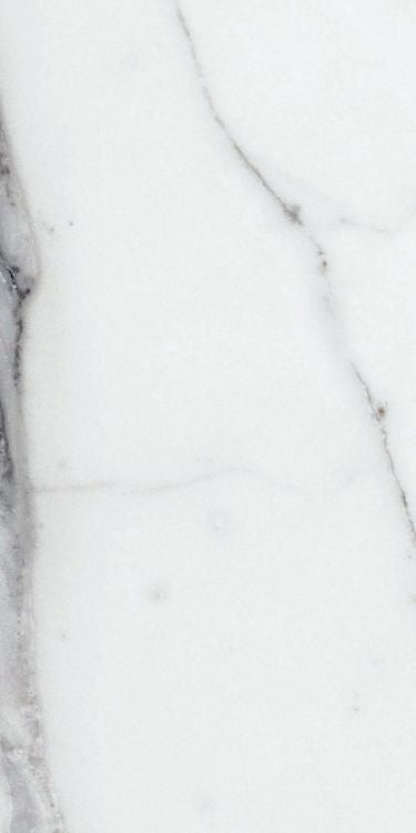 Origines Argent Glossy 24 x 48