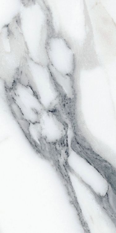 Origines Argent Matte 12 x 24