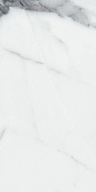 Origines Argent Matte 12 x 24