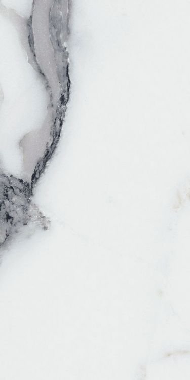 Origines Argent Matte 12 x 24