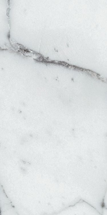 Origines Argent Matte 12 x 24