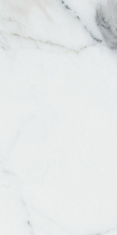 Origines Argent Matte 12 x 24