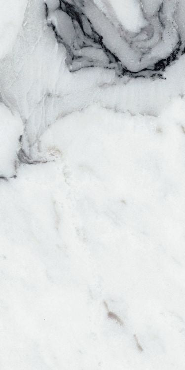 Origines Argent Matte 12 x 24