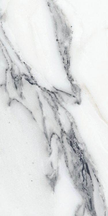 Origines Argent Matte 12 x 24