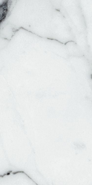 Origines Argent Matte 12 x 24